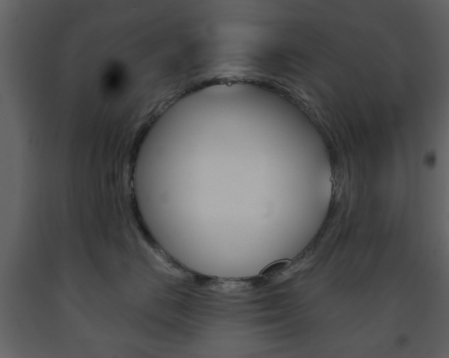 X0000091660670200708230952