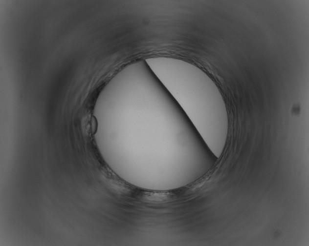 X0000091660671200708230952