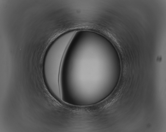 X0000091660673200708230951