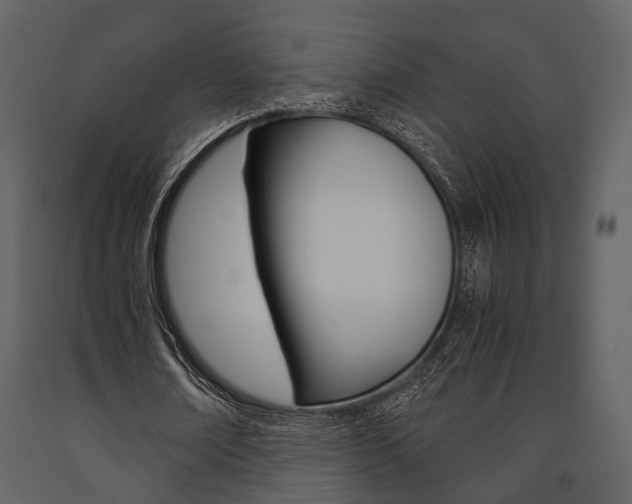 X0000091660674200708230951