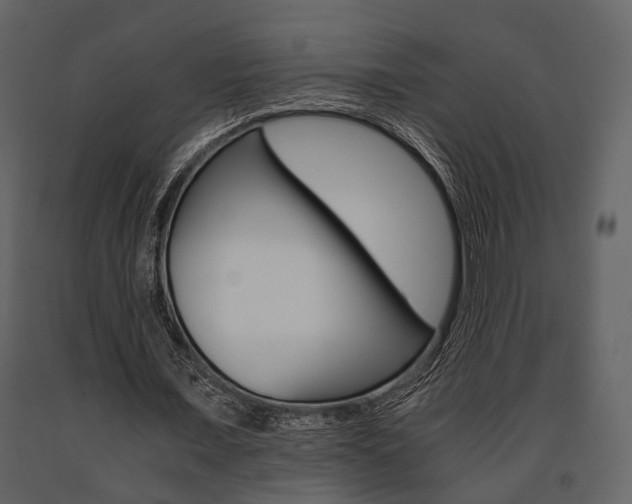 X0000091660675200708230951