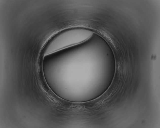 X0000091660676200708230951