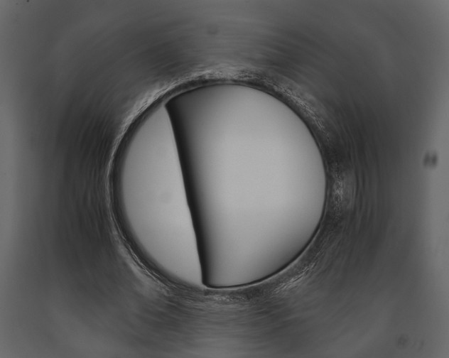 X0000091660678200708230951