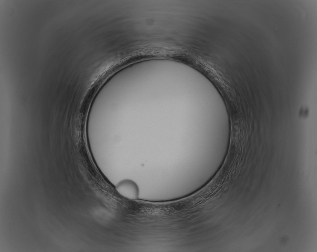X0000091660679200708230951
