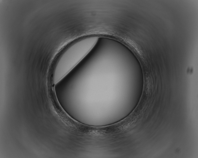 X0000091660680200708230951