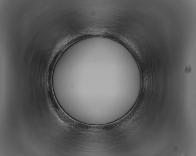 X0000091660682200708230951