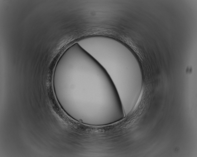 X0000091660683200708230951