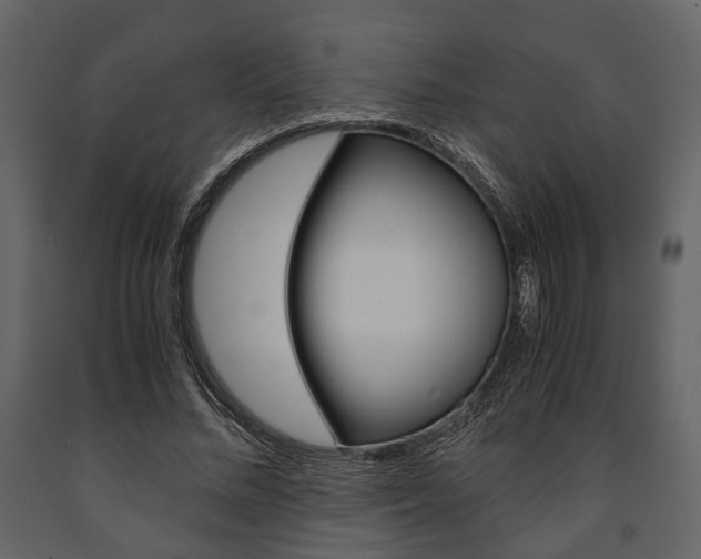 X0000091660684200708230951