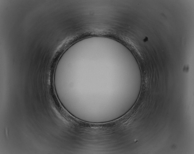 X0000091660686200708230951