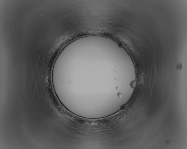 X0000091660687200708230951