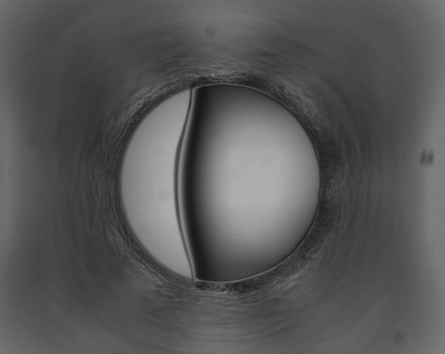 X0000091660689200708230951