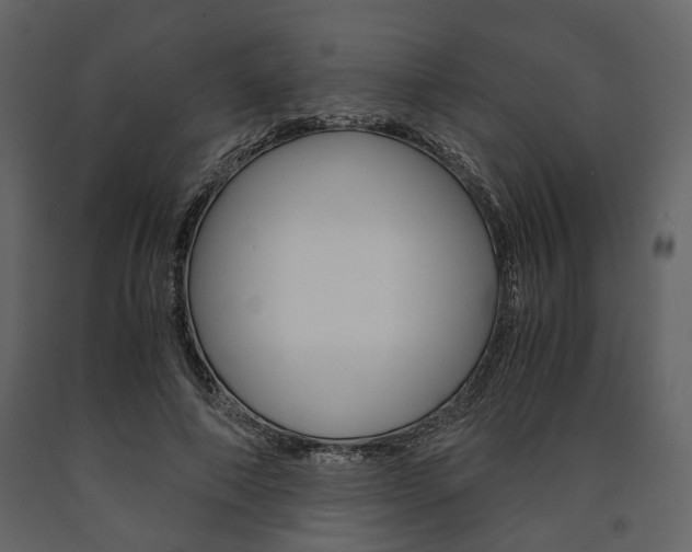 X0000091660690200708230951