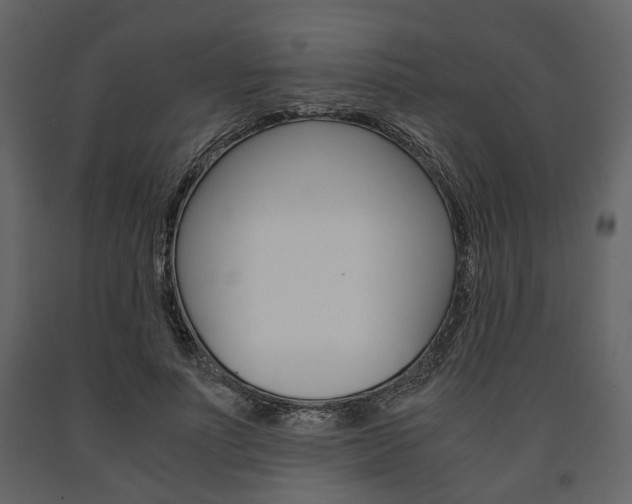 X0000091660691200708230951