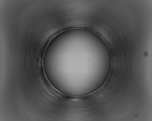 X0000091660692200708230951
