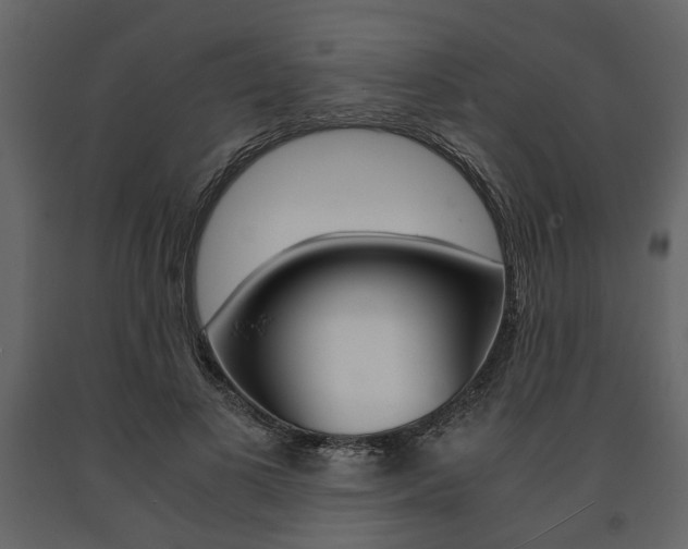 X0000091660693200708230951