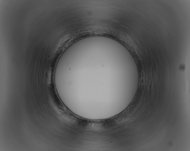 X0000091660694200708230951