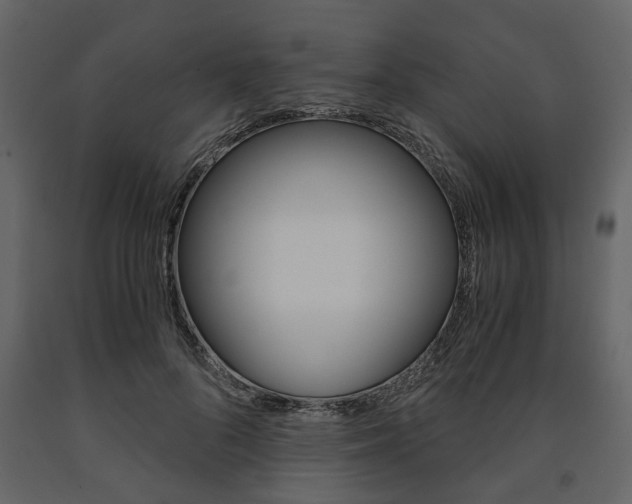 X0000091660696200708230951