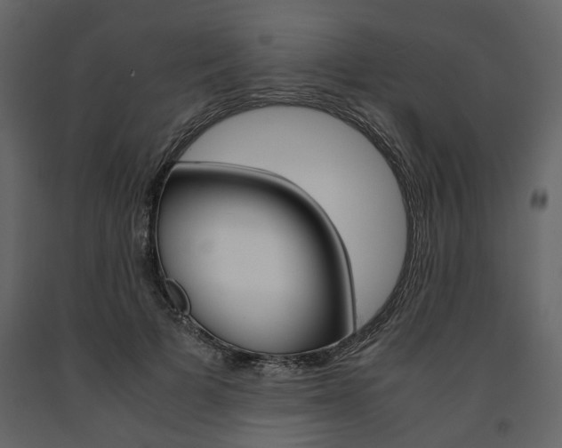 X0000091660697200708230951