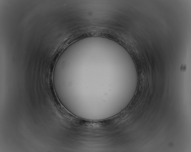 X0000091660698200708230951