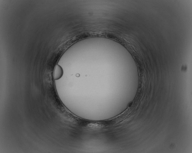 X0000091660699200708230951