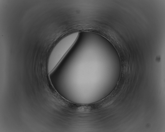 X0000091660700200708230951
