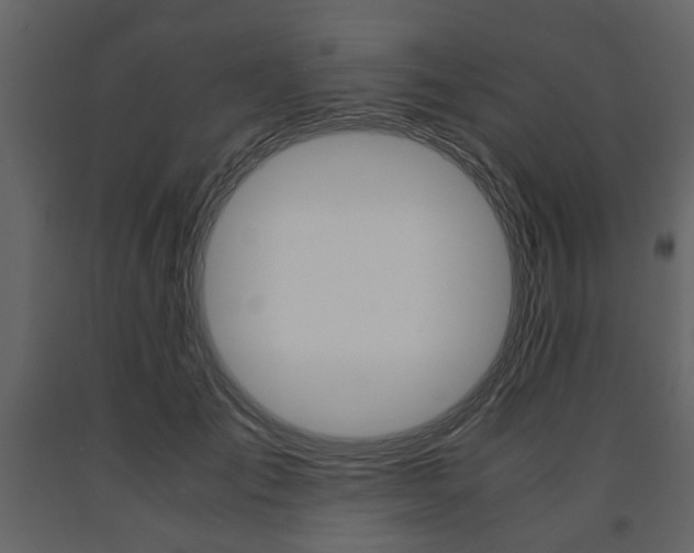 X0000091660701200708230951