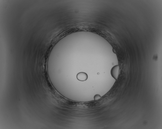 X0000091660702200708230951