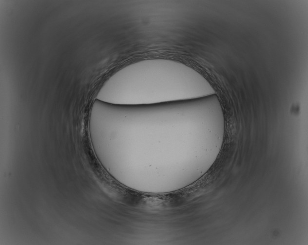 X0000091660703200708230951
