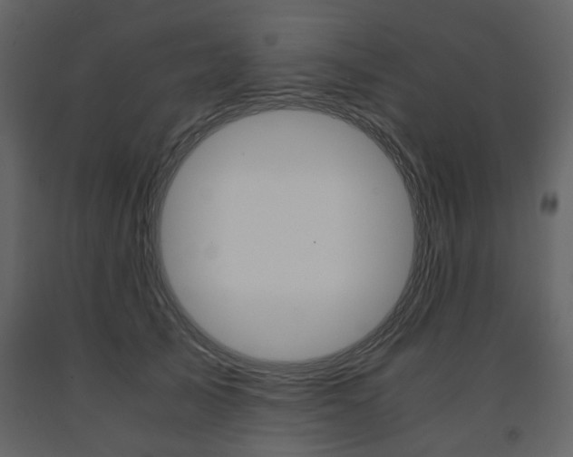 X0000091660705200708230951