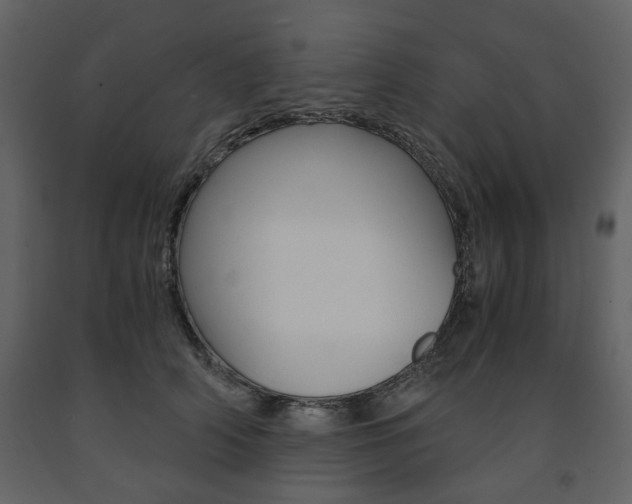 X0000091660706200708230951