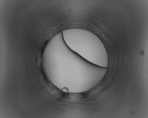 X0000091660707200708230951