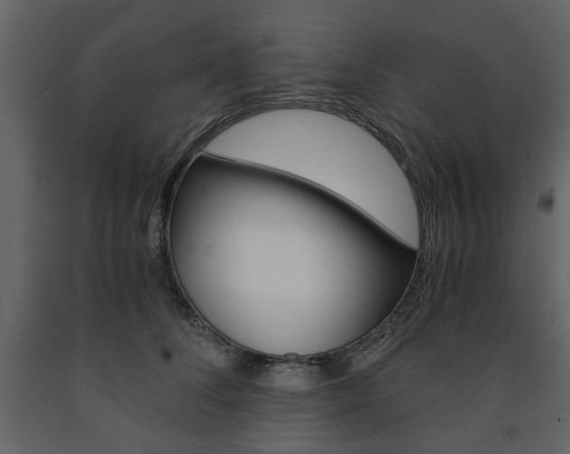 X0000091660708200708230951