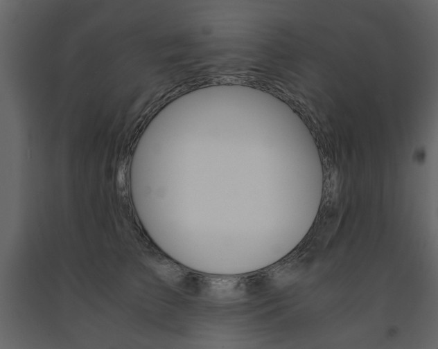 X0000091660709200708230951
