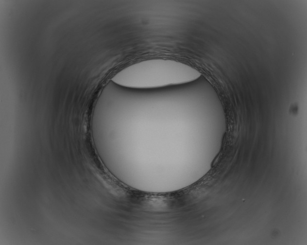 X0000091660710200708230951