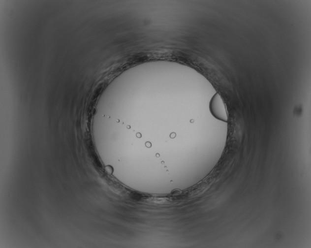 X0000091660711200708230951