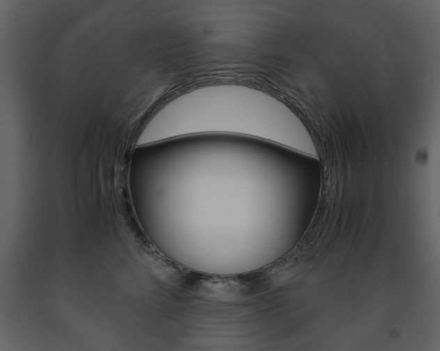 X0000091660712200708230951
