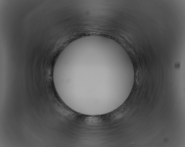 X0000091660714200708230951