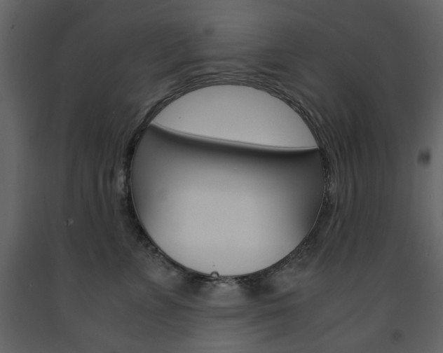 X0000091660715200708230951