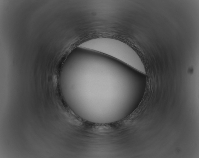X0000091660716200708230951