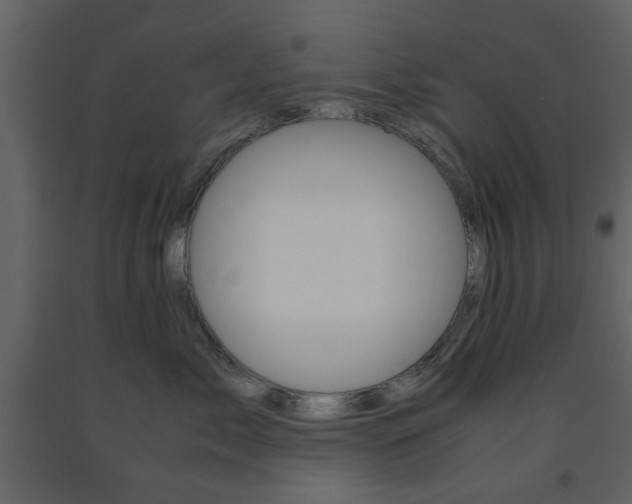 X0000091660717200708230951