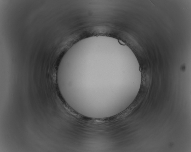 X0000091660718200708230951