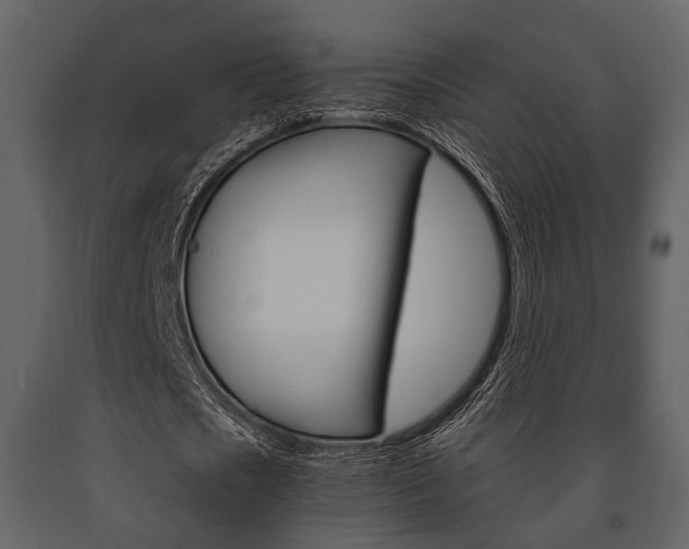 X0000091660721200708230950