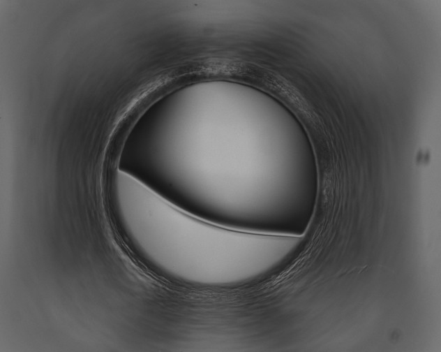 X0000091660722200708230950