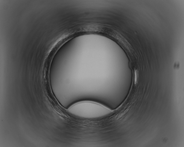 X0000091660723200708230950