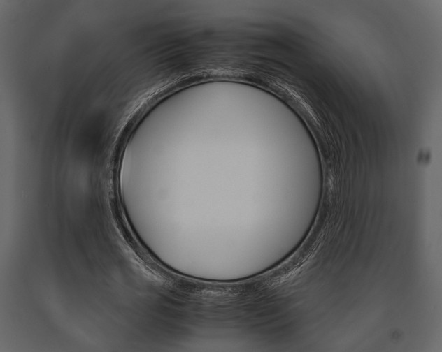 X0000091660725200708230950
