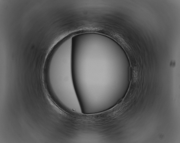 X0000091660726200708230950