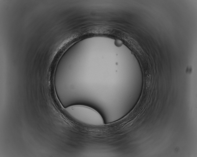 X0000091660727200708230950