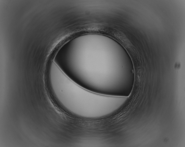 X0000091660728200708230950