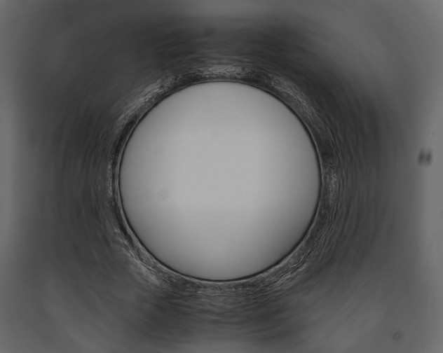 X0000091660729200708230950