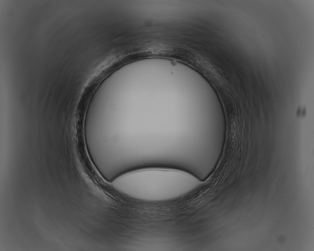 X0000091660730200708230950